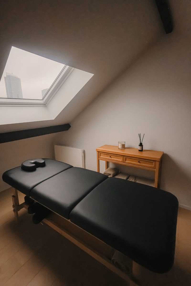 View of Luxury Penthouse Apartments for Rent in Singapore